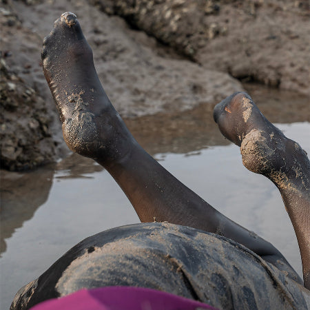 aNEW a Mud and Wet